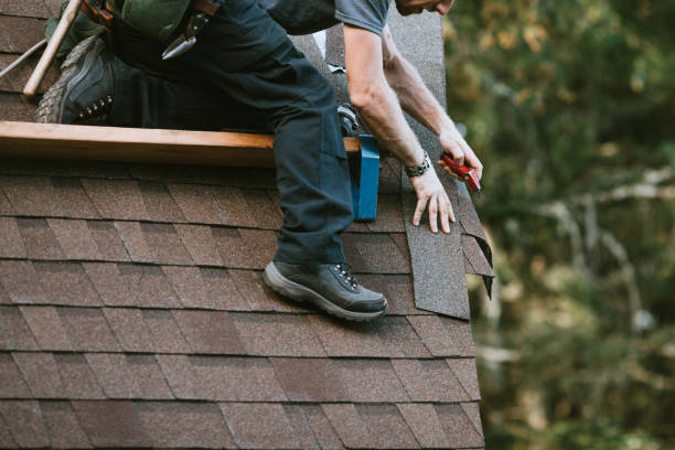 Best Storm Damage Roof Repair  in Eyota, MN